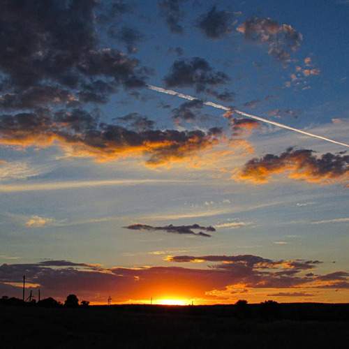 Photo #13693295