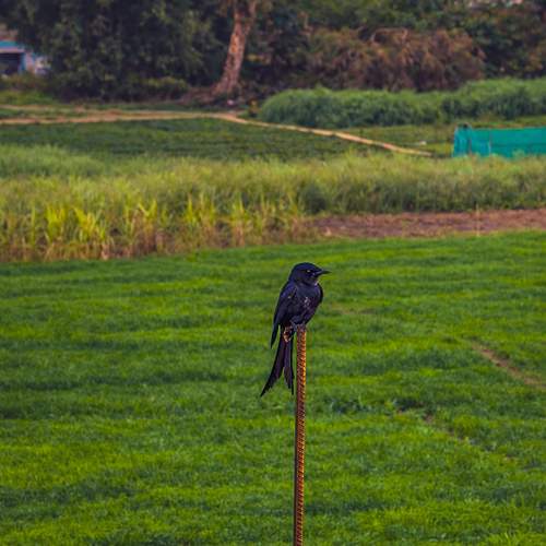 Photo #13693353