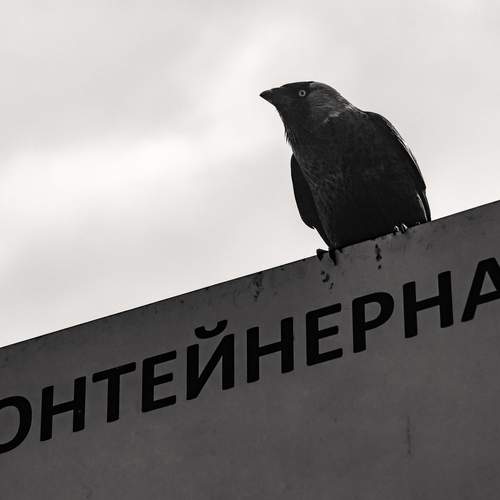 Нонтейнерная