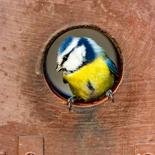 Photo #13693509