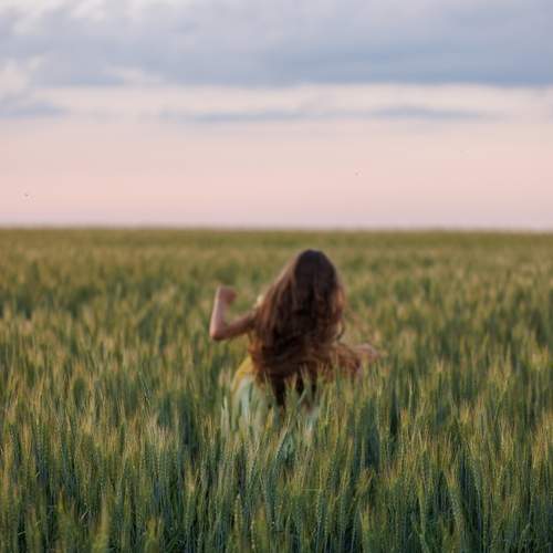 Photo #13693515