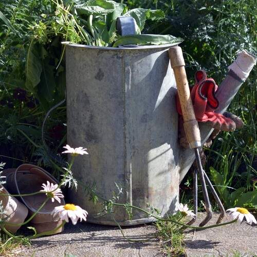 Photo #13693605