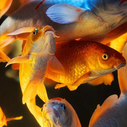 Photo #13693650