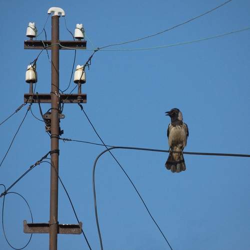 Photo #13693706