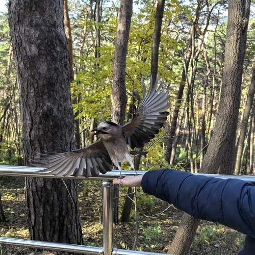 Photo #13693725
