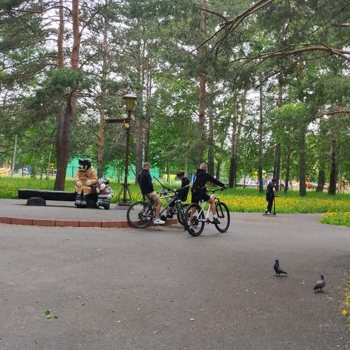 Photo #13693735