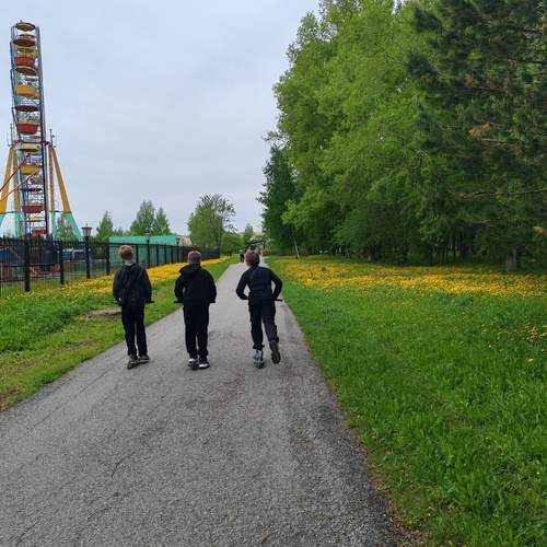 Photo #13693737