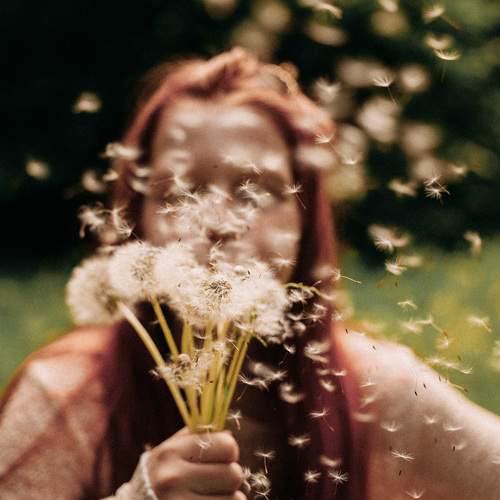 Photo #13693757