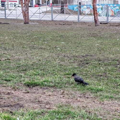 Photo #13693772