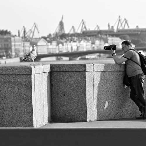 Photo #13693783