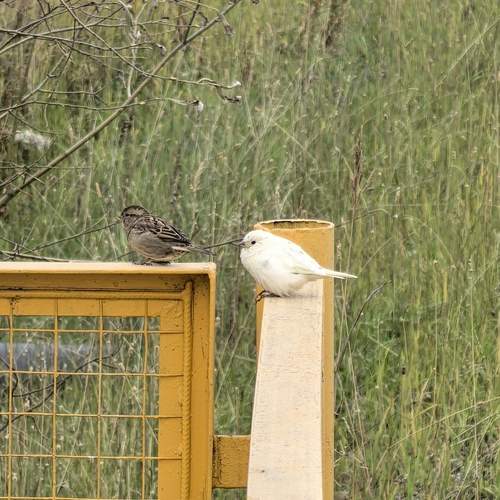 Photo #13693846