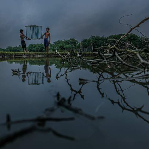 Photo #13693984