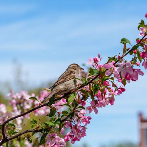 Photo #13694063