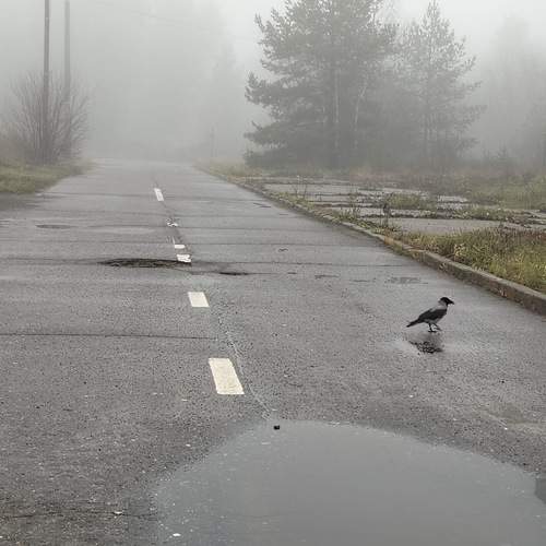 Photo #13694065