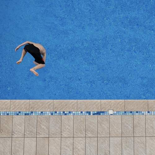 Photo #13694188