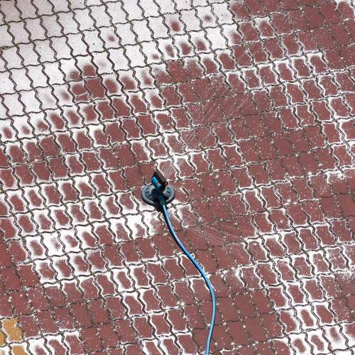Photo #13694287