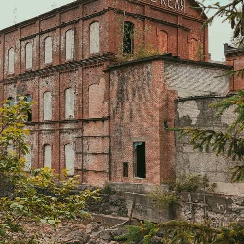 Photo #13694289