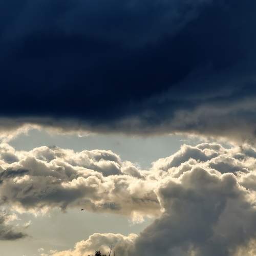 Photo #13694318