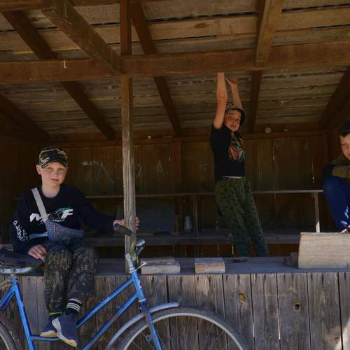 Photo #13694336