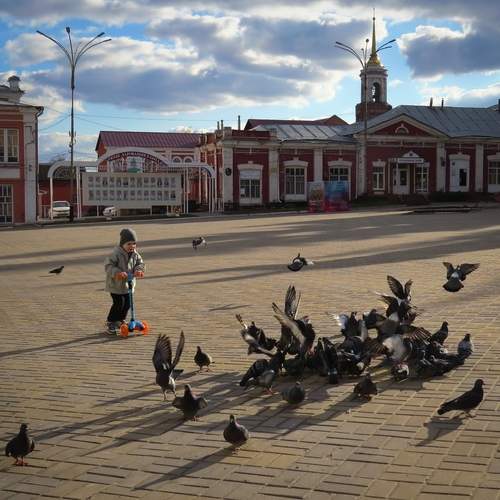 Photo #13694348