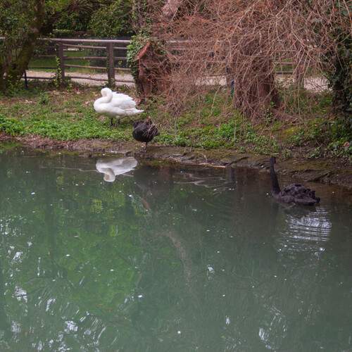 Photo #13694428