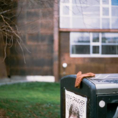 Photo #13694430