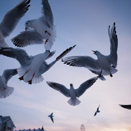 Photo #13694441