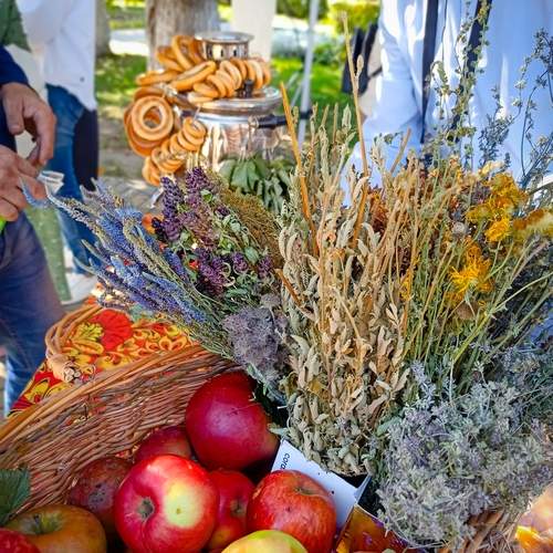 Photo #13694512