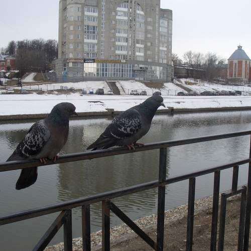 Photo #13694540