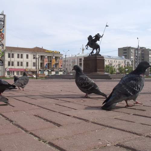 Photo #13694542
