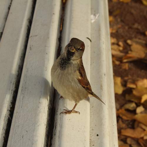 Photo #13694622