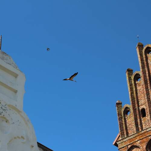 Photo #13694651
