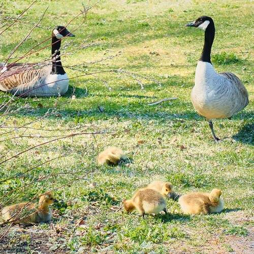 Photo #13694673