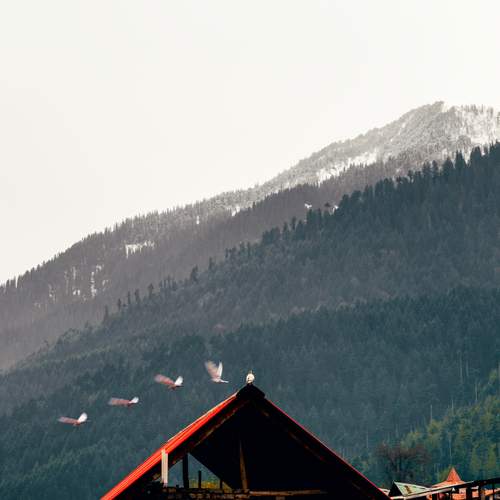 Photo #13694683