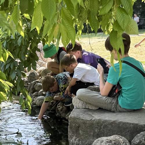 Photo #13694771