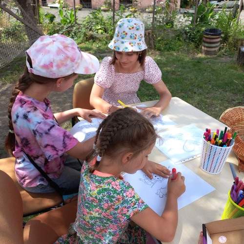 Photo #13694790