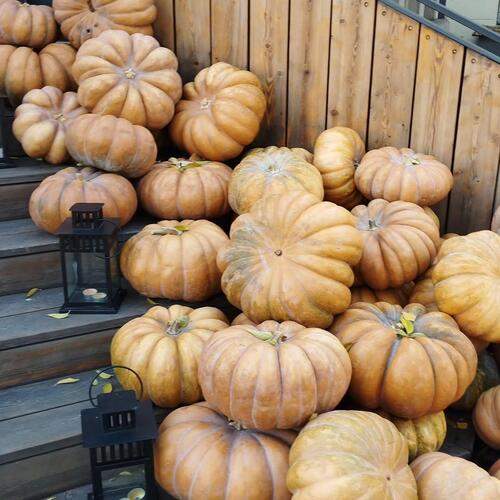 Photo #13694810