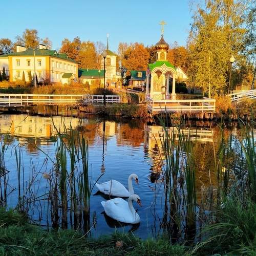 Photo #13694815