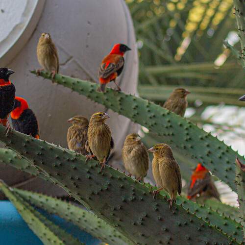 Photo #13694819