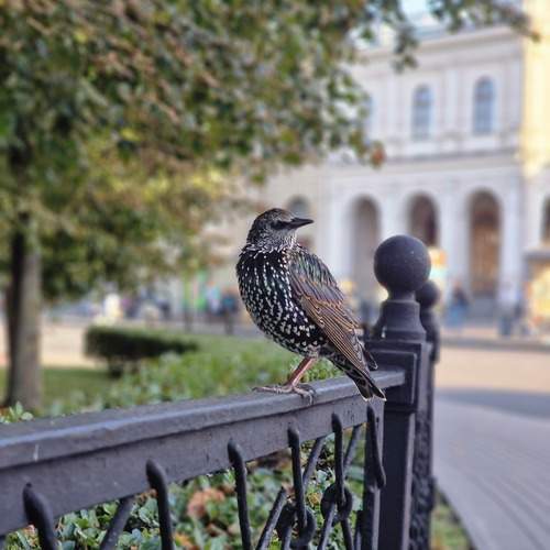 Photo #13694860