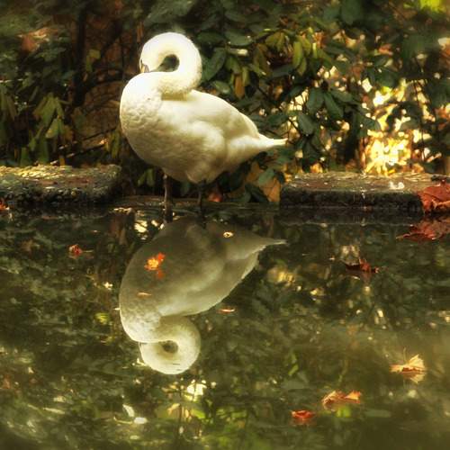 Photo #13694899