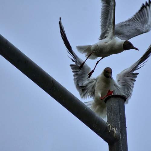 Photo #13694973