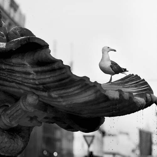 Photo #13695001