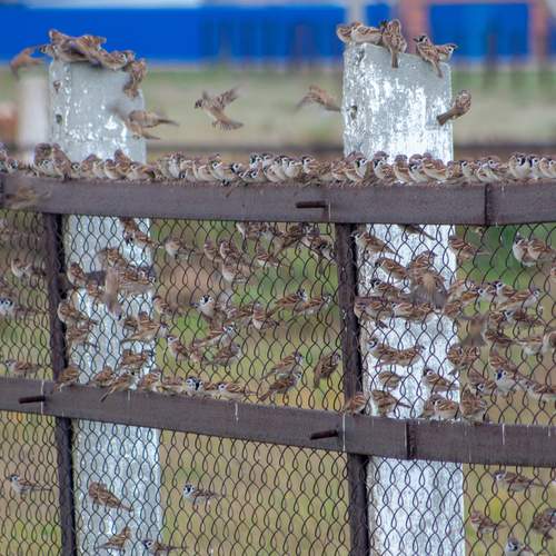 Photo #13695015