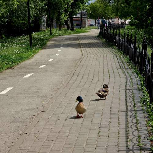 Photo #13695033