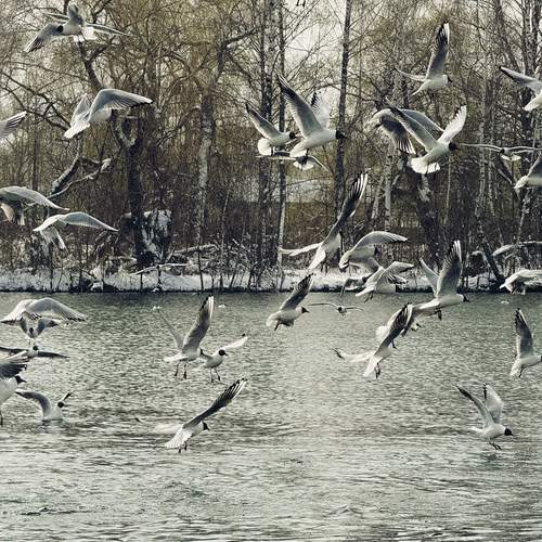 Photo #13695106
