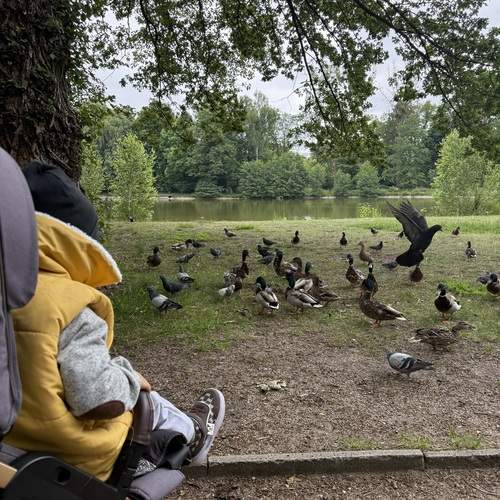 Photo #13695109