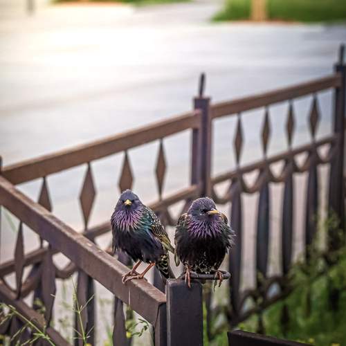 Photo #13695117