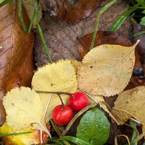 Photo #13695125