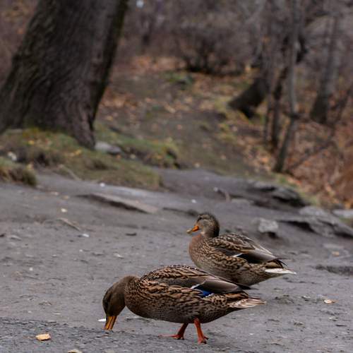 Photo #13695136